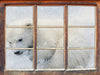 Eisbär im Schnee  3D Wandtattoo Fenster