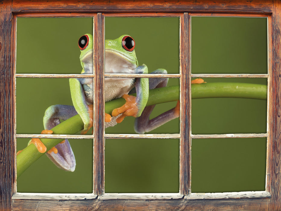 Baum-Frosch auf Bambus  3D Wandtattoo Fenster