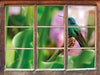 Kolibri in seinem Lebensraum  3D Wandtattoo Fenster
