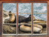 Seelöwen an einer Bucht  3D Wandtattoo Fenster