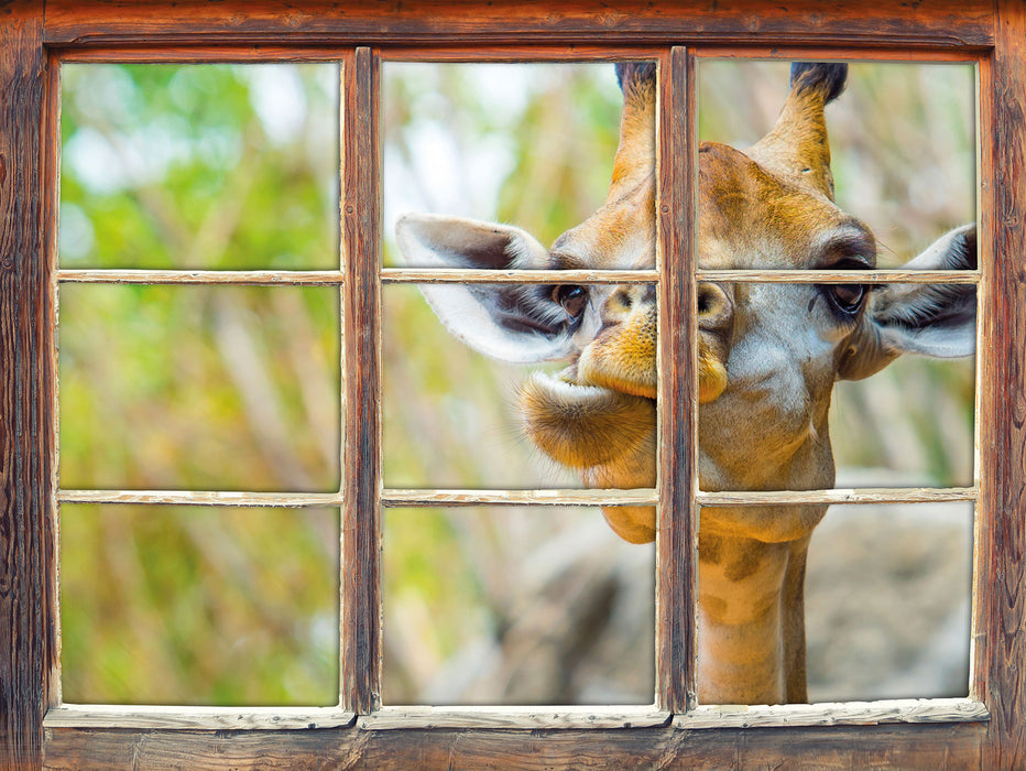 Giraffe in der Natur  3D Wandtattoo Fenster