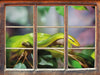 Raue grüne Schlange  3D Wandtattoo Fenster