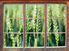 Grüne Weizen auf dem Feld  3D Wandtattoo Fenster