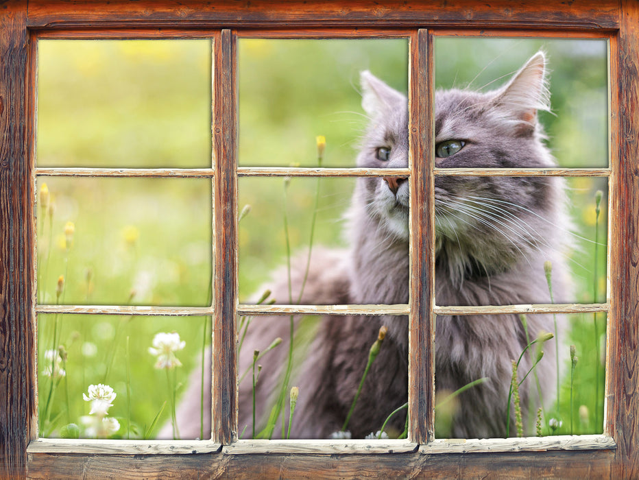 Katze in der Wildnis  3D Wandtattoo Fenster