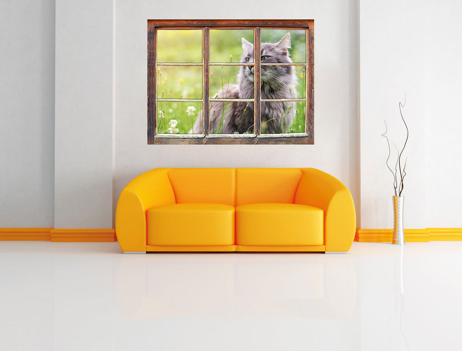 Katze in der Wildnis 3D Wandtattoo Fenster Wand