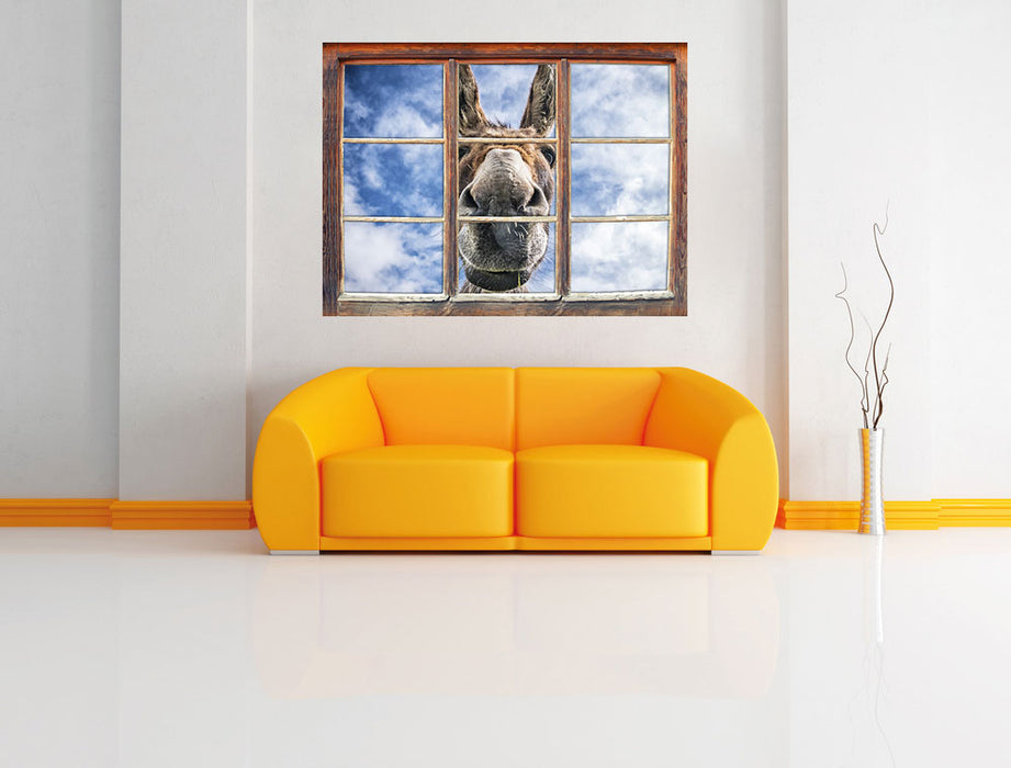 Lustiger Esel 3D Wandtattoo Fenster Wand