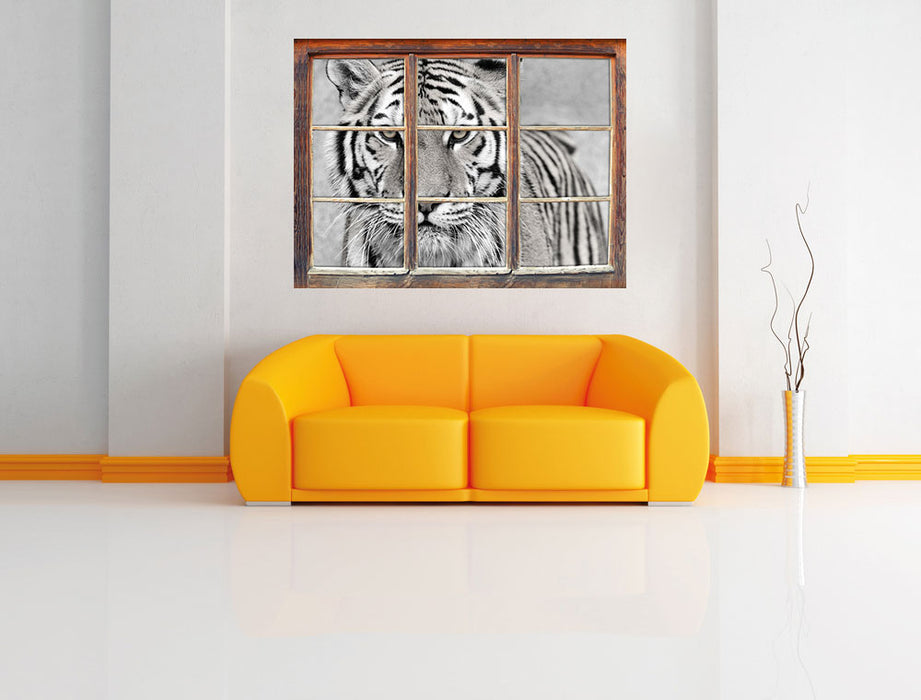 Anmutiger Tiger in 3D Wandtattoo Fenster Wand