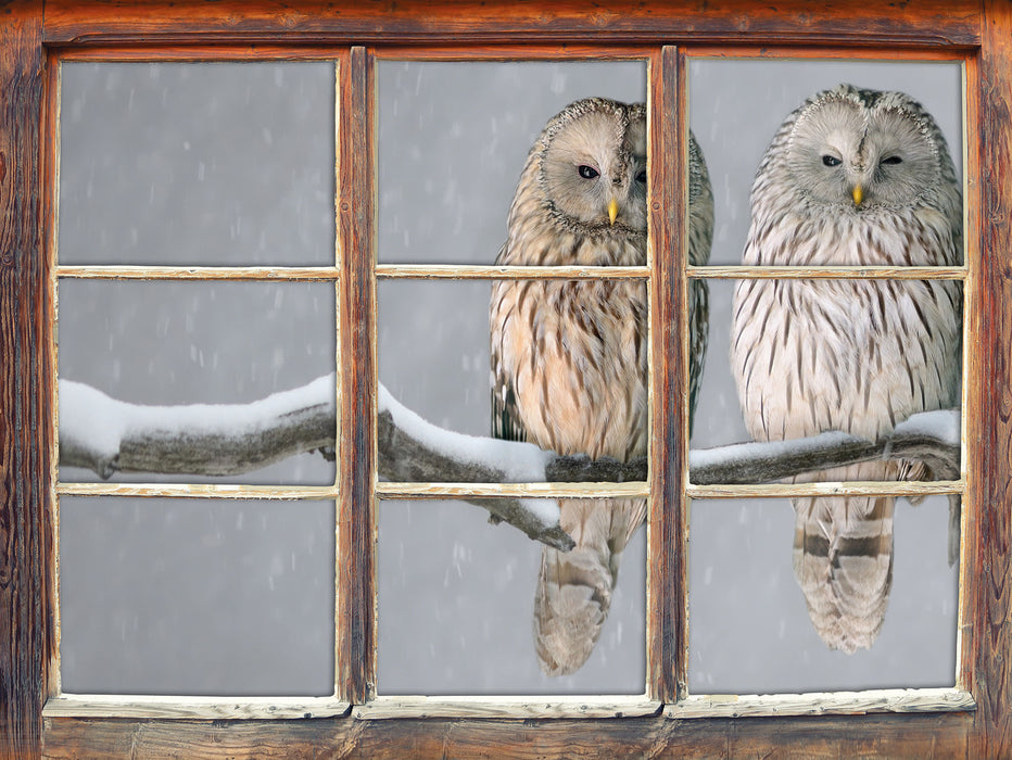 Zwei Eulen in Winterlandschaft 3D Wandtattoo Fenster