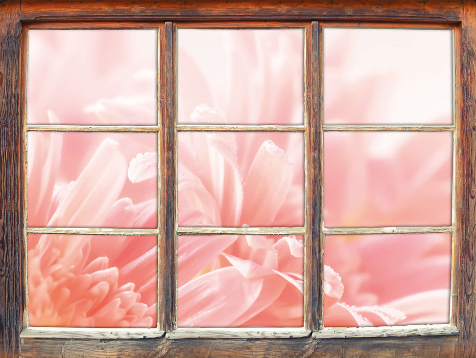 Gerbera Blume  3D Wandtattoo Fenster