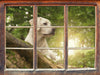 Labrador Welpe im Wald  3D Wandtattoo Fenster