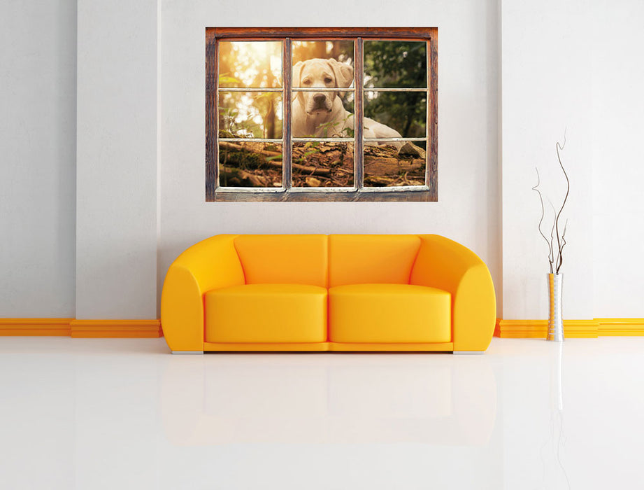Hund im Wald bei Sonneuntergang 3D Wandtattoo Fenster Wand
