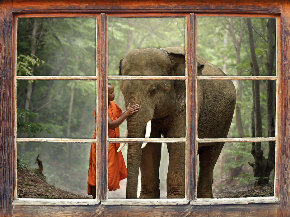 wunderschöner Elefant mit Mönch  3D Wandtattoo Fenster