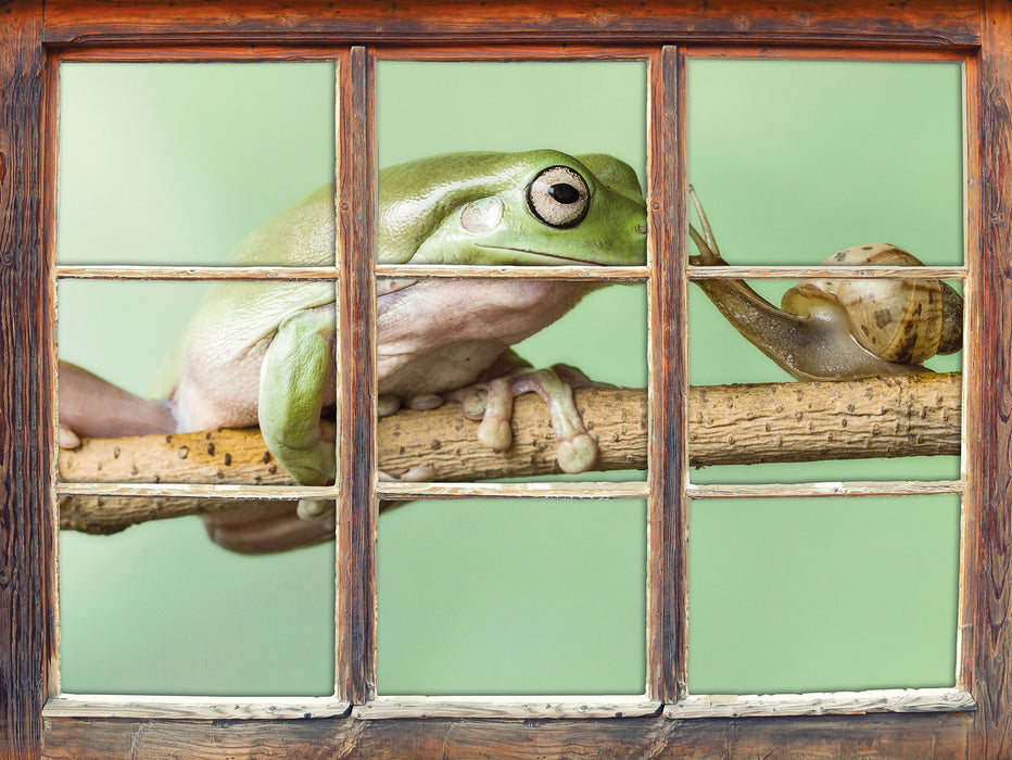 der Frosch und die Schnecke  3D Wandtattoo Fenster