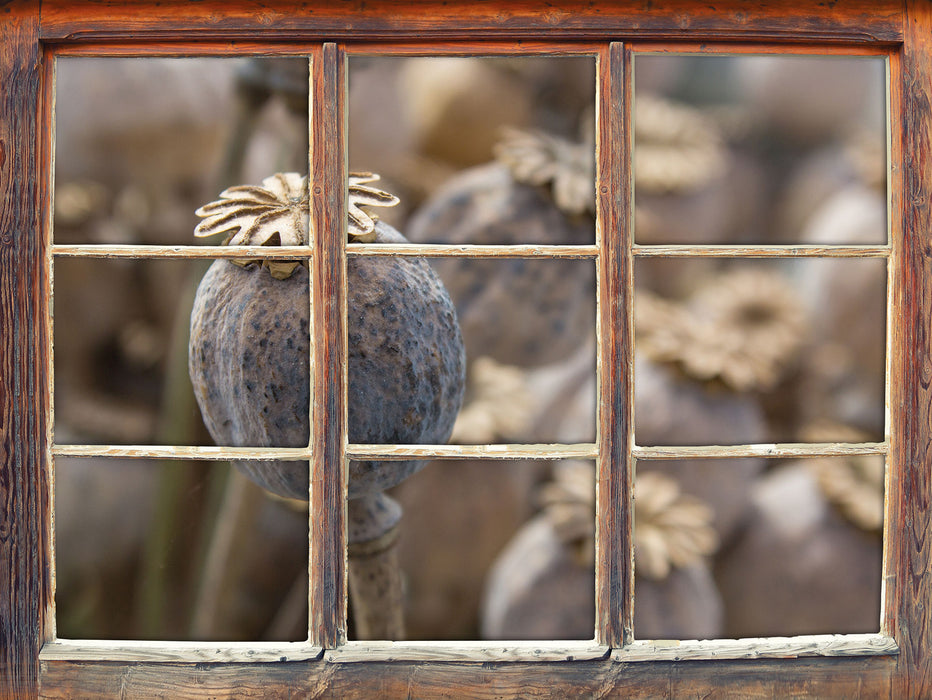 Mohnkapsel der Mohnblume  3D Wandtattoo Fenster