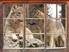 Wölfe im Wald 3D Wandtattoo Fenster