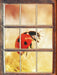Marienkäfer in der Nahaufnahme  3D Wandtattoo Fenster