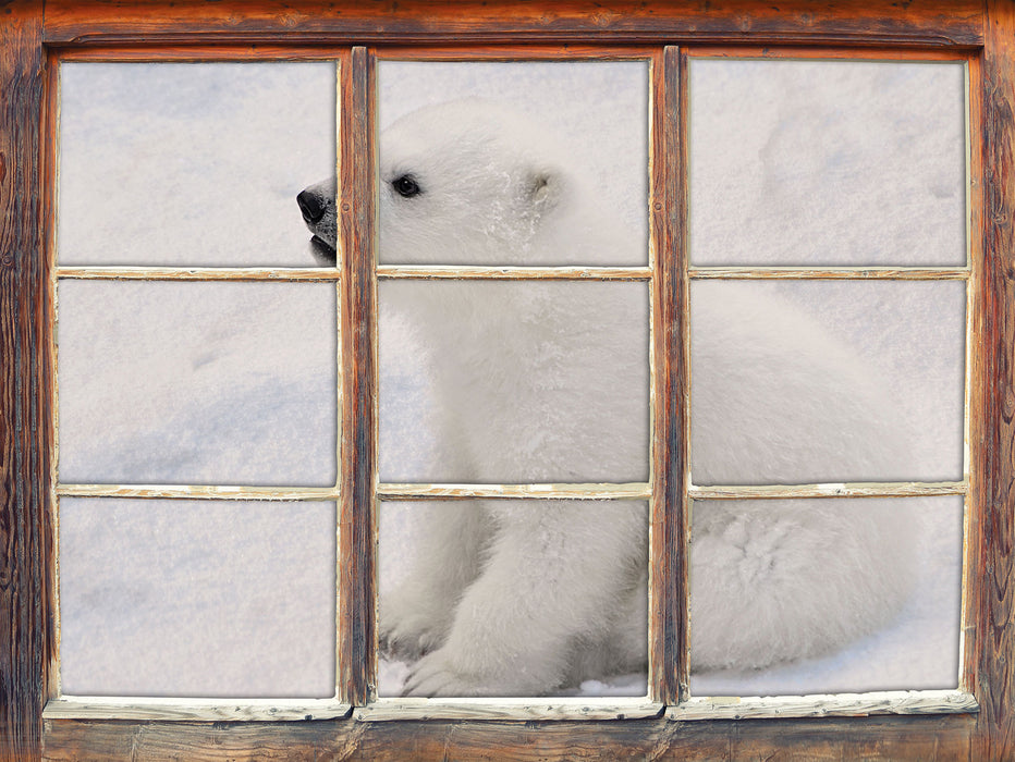 niedliches Eisbär Baby  3D Wandtattoo Fenster