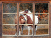 zwei schmusende Pferde 3D Wandtattoo Fenster