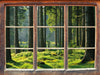 sonniger Tag im Wald 3D Wandtattoo Fenster