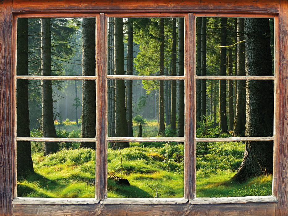 sonniger Tag im Wald 3D Wandtattoo Fenster
