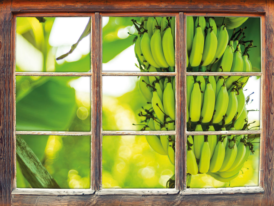 reifende Bananen am Baum  3D Wandtattoo Fenster