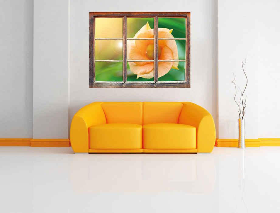orange Blume im Sonnenlicht 3D Wandtattoo Fenster Wand