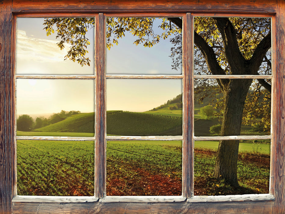 Landschaft im Herbst  3D Wandtattoo Fenster