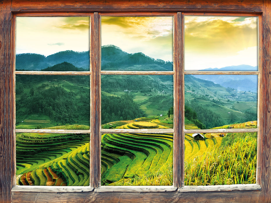 Reisfelder in Vietnam  3D Wandtattoo Fenster