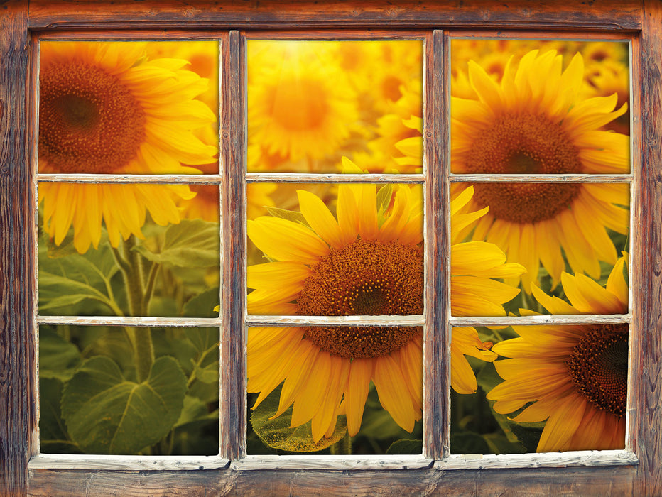 Sonnenblumen auf dem Feld 3D Wandtattoo Fenster
