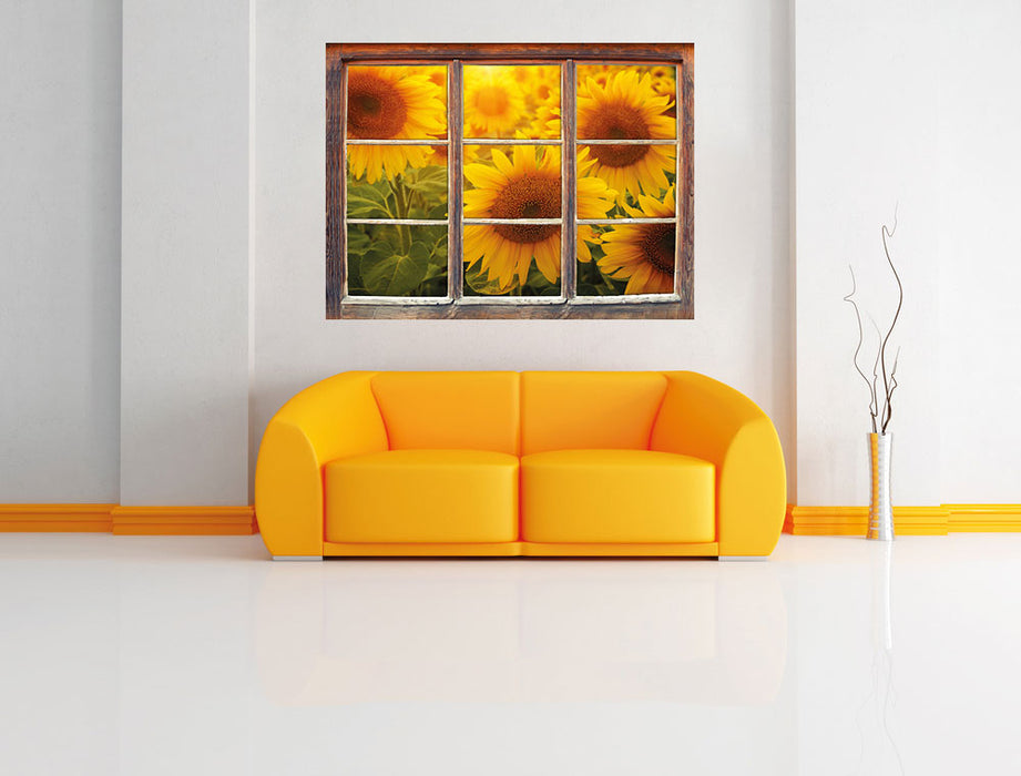 Sonnenblumen auf dem Feld 3D Wandtattoo Fenster Wand