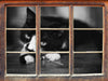 Katze spielt mit Ehering  3D Wandtattoo Fenster