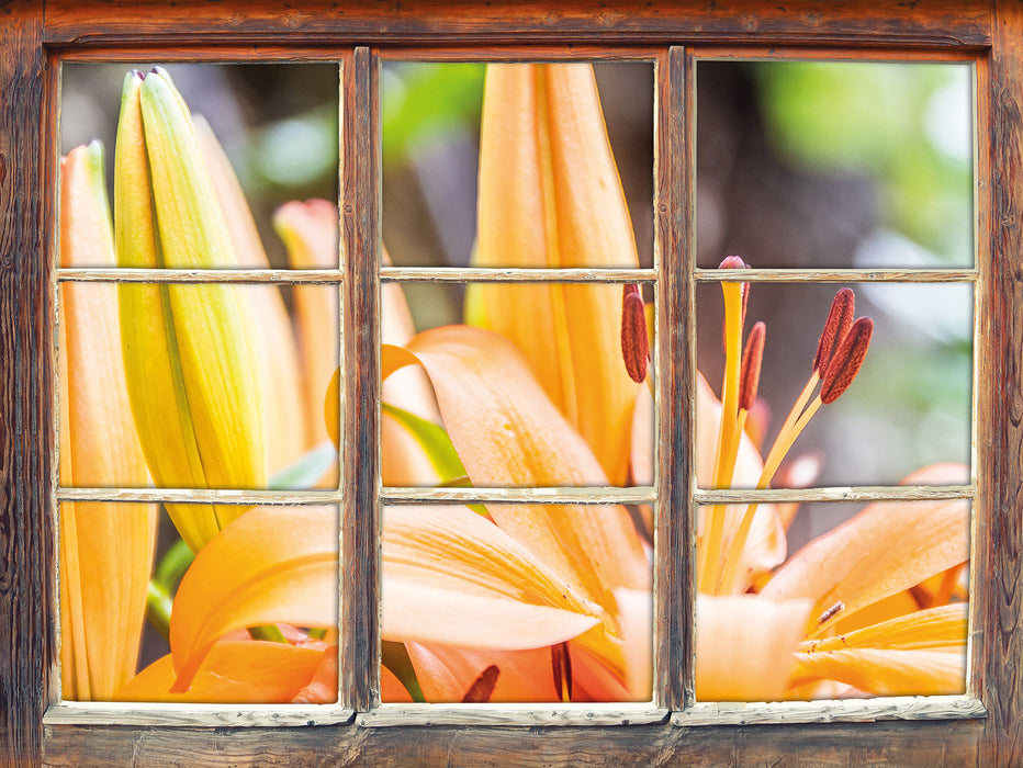 schöne orangene Lilien  3D Wandtattoo Fenster