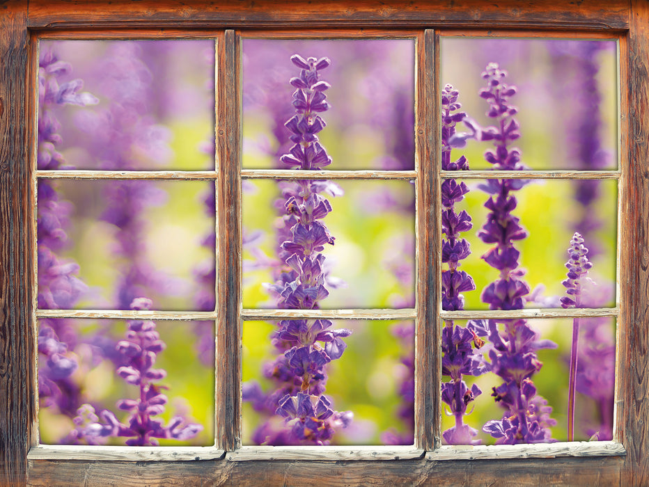 schöne violette Lavendelblüten  3D Wandtattoo Fenster