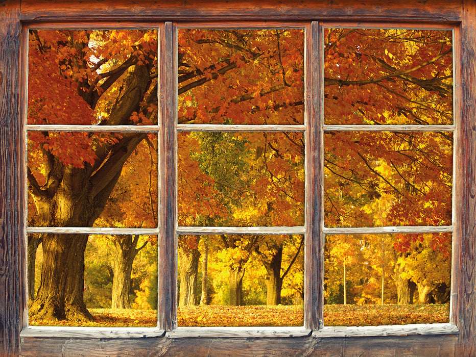 schöne Herbstlandschaft  3D Wandtattoo Fenster