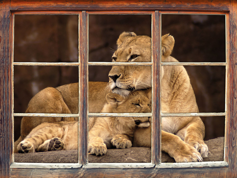 Löwe mit Löwenjungen  3D Wandtattoo Fenster