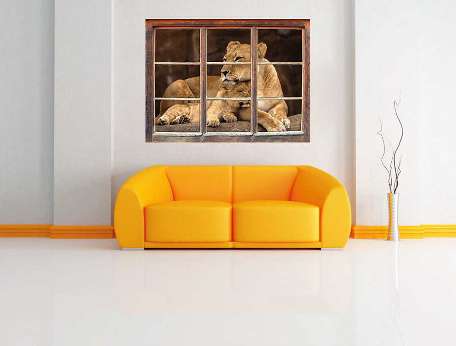Löwe mit Löwenjungen 3D Wandtattoo Fenster Wand
