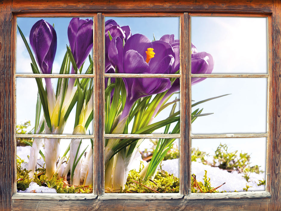 Kunst Frühling flower Hintergrund  3D Wandtattoo Fenster