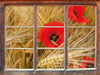 Mohnblumen auf dem Mais-Feld  3D Wandtattoo Fenster