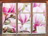 feine rosa farbende Blüte  3D Wandtattoo Fenster