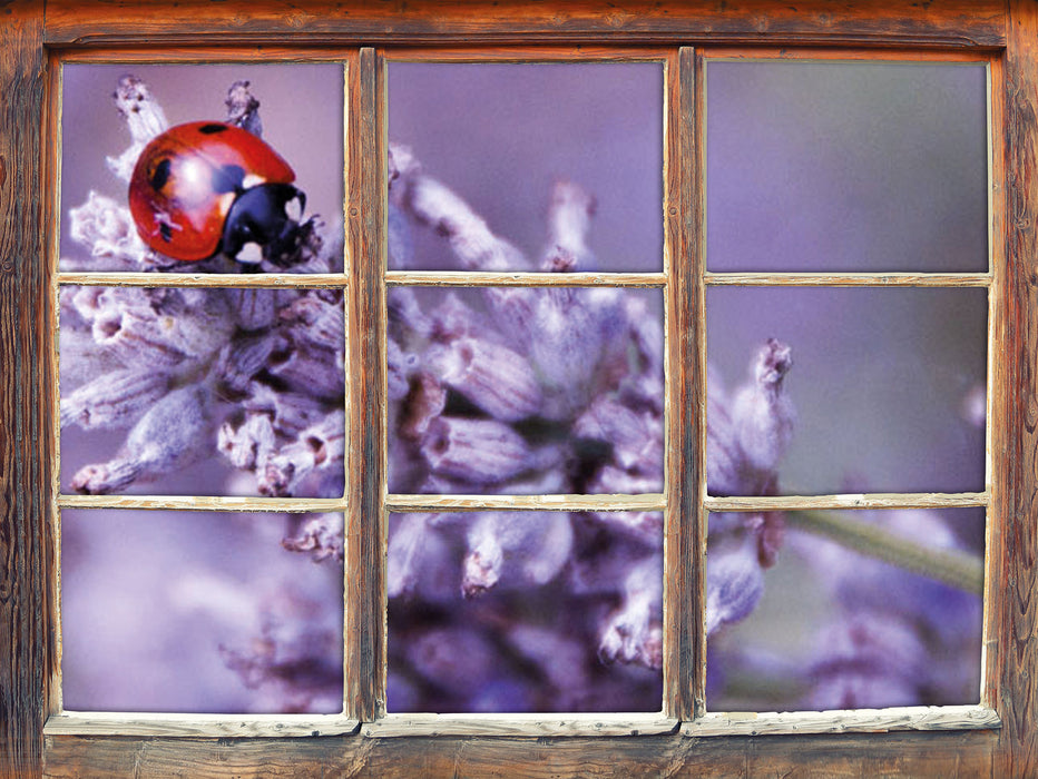 kleiner Marienkäfer auf Lavendel  3D Wandtattoo Fenster