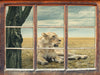Löwin Ruhe Savanne  3D Wandtattoo Fenster