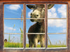 Esel in einem Feld 3D Wandtattoo Fenster