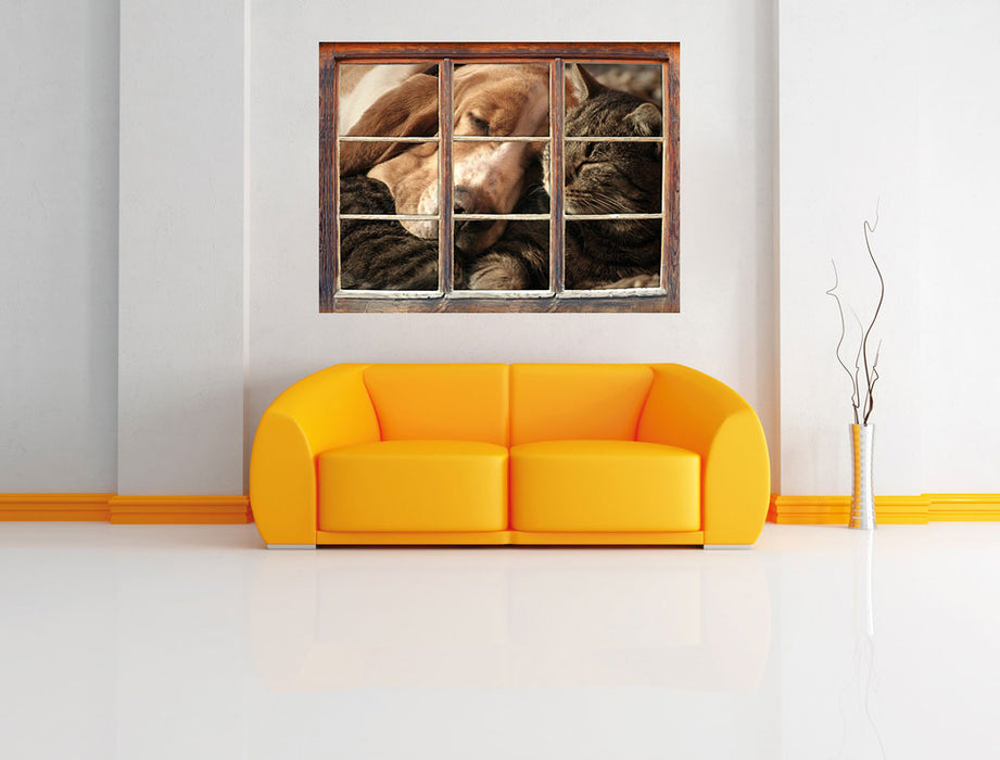 Katze und Hund kuschelnd 3D Wandtattoo Fenster Wand