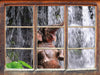 Babyelefant am Wasserfall  3D Wandtattoo Fenster