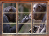 Schimpansen Freundschaft  3D Wandtattoo Fenster