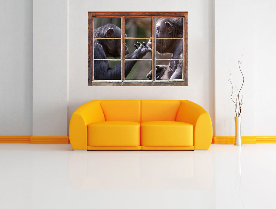 Schimpansen Freundschaft 3D Wandtattoo Fenster Wand