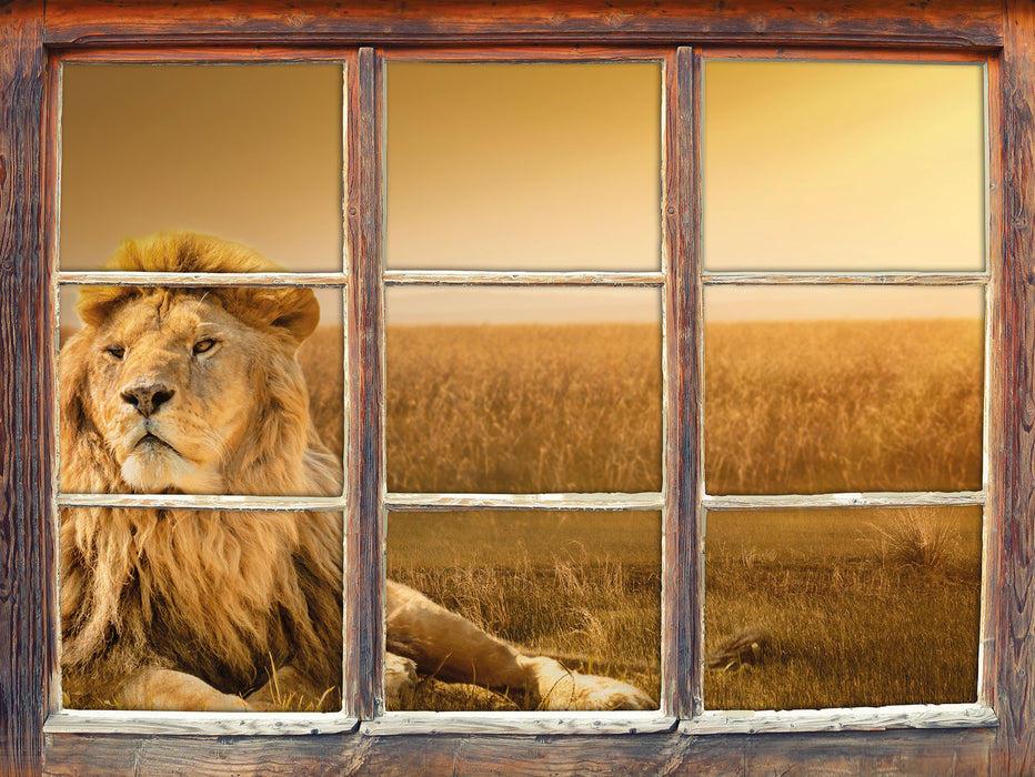 Majestätischer Löwe 3D Wandtattoo Fenster