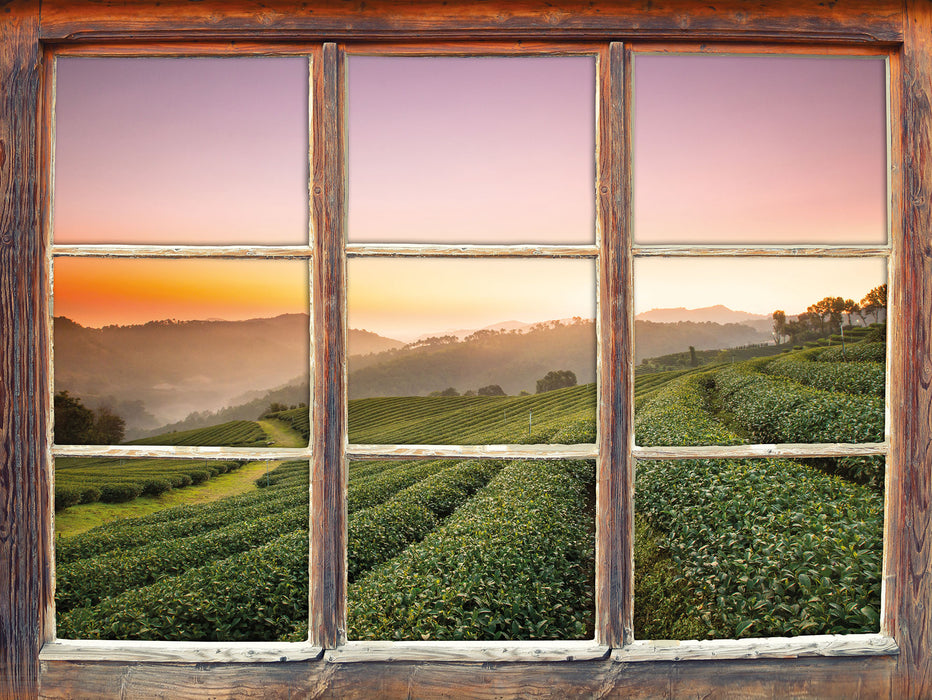 Sonnenaufgang Teeplantage Thailand  3D Wandtattoo Fenster