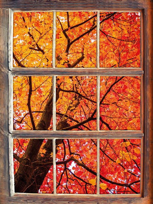 Feurige Herbstblätter  3D Wandtattoo Fenster