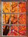 Feurige Herbstblätter  3D Wandtattoo Fenster